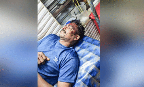 cannabis gang attack cannabis gang attack