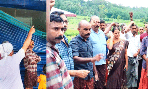 wild elephant attack