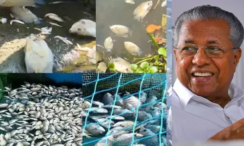 പെറിയാറിൽ പ്രാഥമിക വിവരങ്ങള്‍ പ്രകാരം 13.56 കോടി രൂപയുടെ മത്സ്യനാശം ഉണ്ടായെന്ന് മുഖ്യമന്ത്രി
