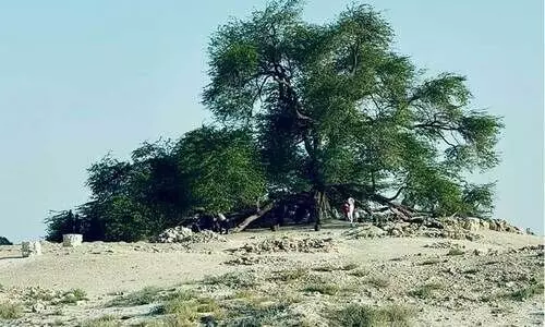 എണ്ണപ്പാടങ്ങൾ കടന്ന് ബഹ്റൈനിലെ വിസ്മയിപ്പിക്കുന്ന കാഴ്ചകളിലേക്ക്...