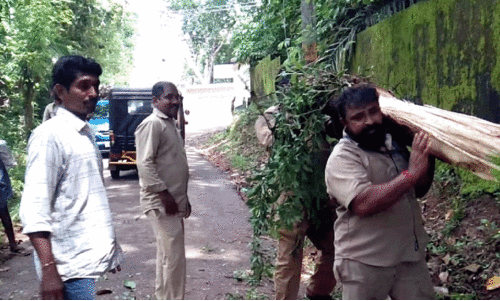 വൈ​ദ്യു​തി വ​കു​പ്പ് ജീ​വ​ന​ക്കാ​ര്‍