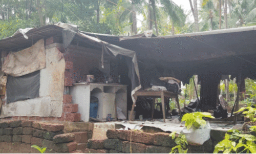 ബാ​ബു​വി​ന്റെ വീ​ട്