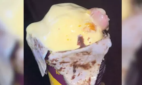 ഐസ്‌ക്രീമിൽ കണ്ടെത്തിയ വിരൽ ഫാക്ടറി ജീവനക്കാരന്റേതെന്ന് സംശയം; ഡി.എൻ.എ പരിശോധനക്കയച്ചു