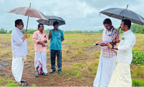 cyber park land cyber park land