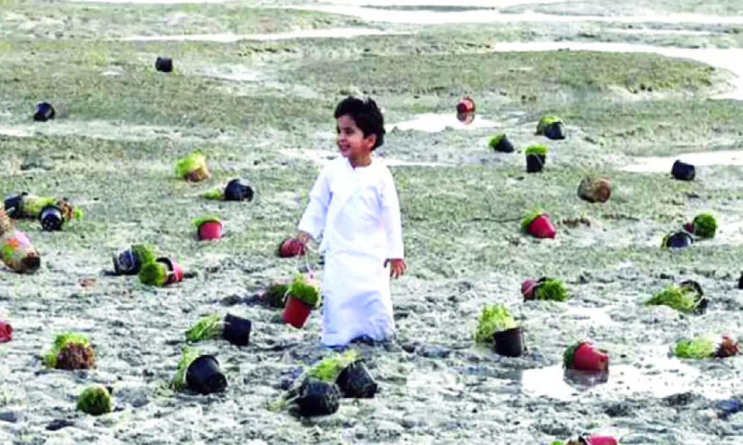 പൈതൃക സ്മരണകൾ ഉണർത്തുന്ന ഹയ്യാ ബയ്യാ