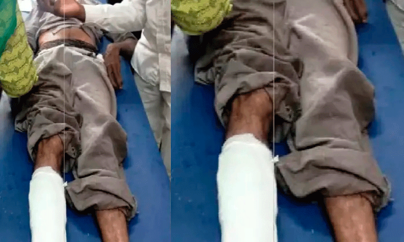 ഹാ​സ​നി​ൽ കാ​ട്ടാ​ന​യു​ടെ ആ​ക്ര​മ​ണ​ത്തി​ൽ തൊ​ഴി​ലാ​ളി​ക്ക് പ​രി​ക്ക്