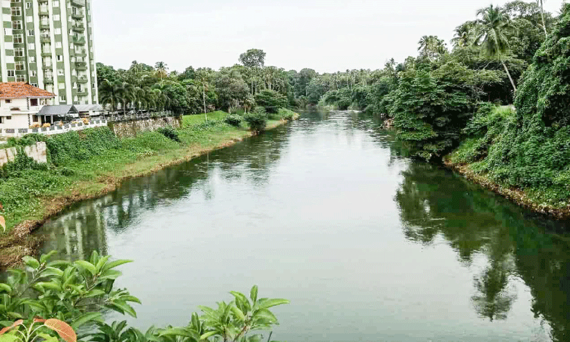 വിനോദസഞ്ചാരികളുടെ ഇടത്താവളമാകാനൊരുങ്ങി മൂവാറ്റുപുഴ; വരുന്നൂ തൂക്കുപാലവും പുഴയോര നടപ്പാതയും വിനോദസഞ്ചാരികളുടെ ഇടത്താവളമാകാനൊരുങ്ങി മൂവാറ്റുപുഴ; വരുന്നൂ തൂക്കുപാലവും പുഴയോര നടപ്പാതയും
