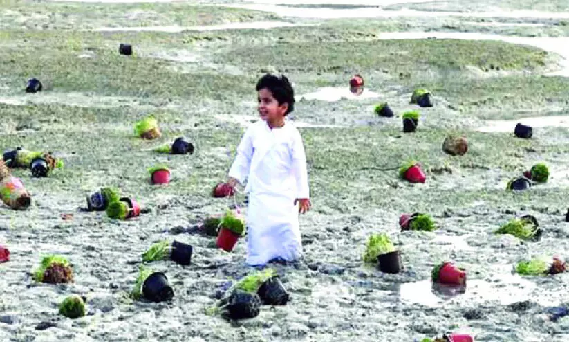 പൈതൃക സ്മരണകൾ ഉണർത്തുന്ന ഹയ്യാ ബയ്യാ പൈതൃക സ്മരണകൾ ഉണർത്തുന്ന ഹയ്യാ ബയ്യാ