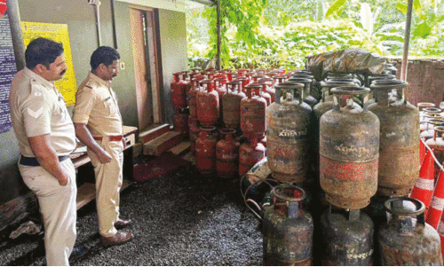 ഗാര്ഹിക പാചകവാതകം വ്യാവസായിക ആവശ്യത്തിന് മാറ്റാൻ ശ്രമം; 185 സിലിണ്ടറുകളുമായി യുവാവ് പിടിയിൽ ഗാര്ഹിക പാചകവാതകം വ്യാവസായിക ആവശ്യത്തിന് മാറ്റാൻ ശ്രമം; 185 സിലിണ്ടറുകളുമായി യുവാവ് പിടിയിൽ