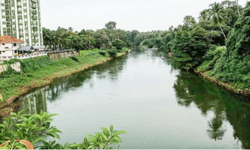 വിനോദസഞ്ചാരികളുടെ ഇടത്താവളമാകാനൊരുങ്ങി മൂവാറ്റുപുഴ; വരുന്നൂ തൂക്കുപാലവും    പുഴയോര നടപ്പാതയും
