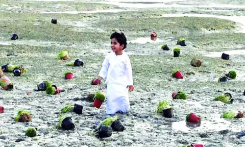 പൈതൃക സ്മരണകൾ ഉണർത്തുന്ന ഹയ്യാ ബയ്യാ