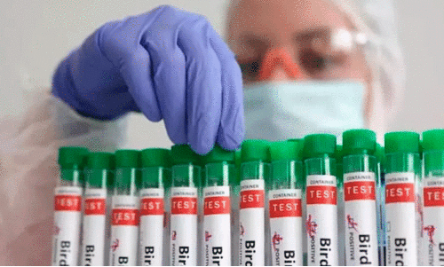 പക്ഷിപ്പനി: ആരോഗ്യവകുപ്പ്​ വിലയിരുത്തൽ നടത്തി