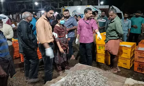 ഓപ്പറേഷന്‍ ലൈഫ്: 107 സ്ഥാപനങ്ങളുടെ പ്രവര്‍ത്തനങ്ങള്‍ നിര്‍ത്തിവെപ്പിച്ചു