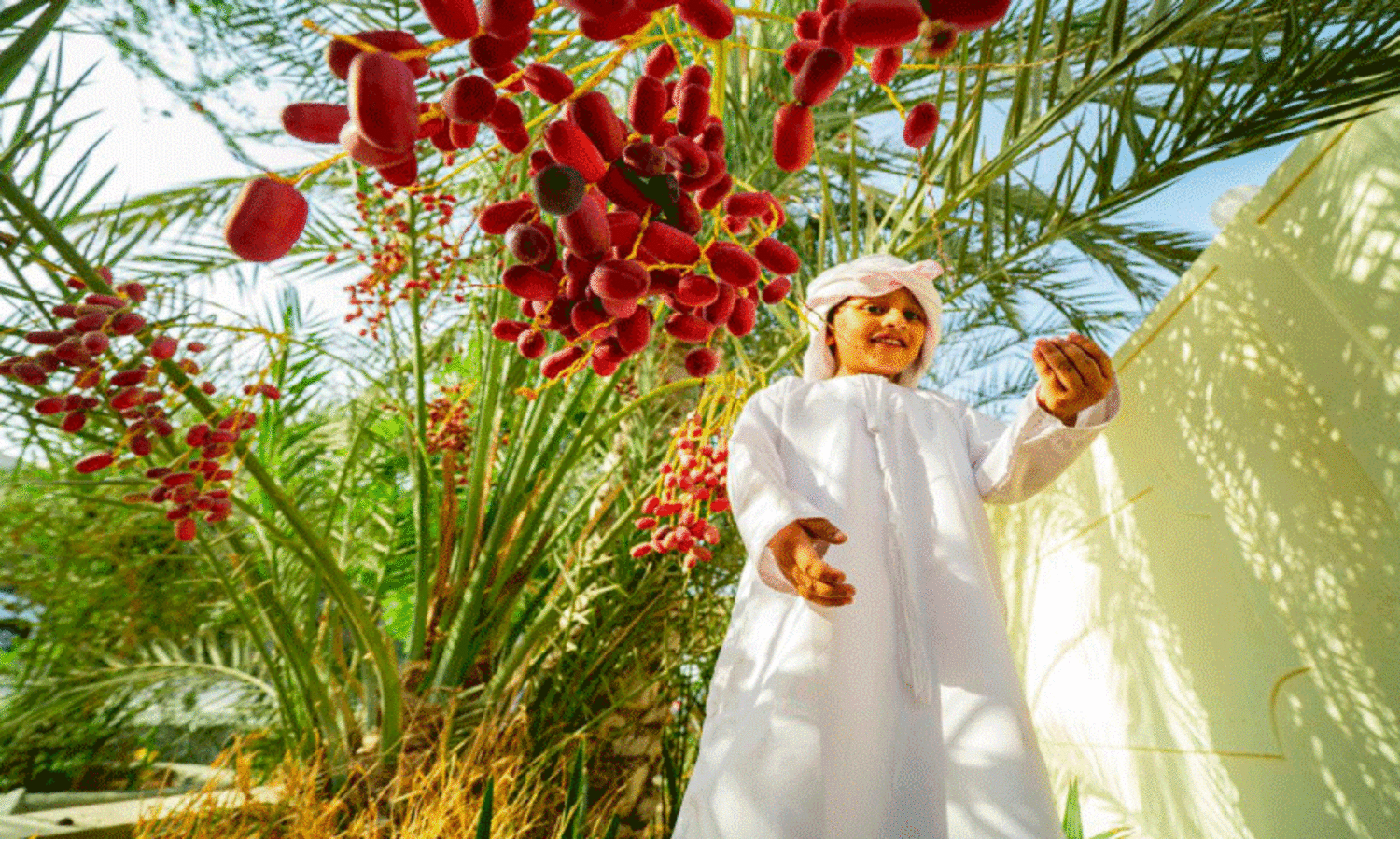 പെരുന്നാൾ പുലരിയിലേക്ക്​ പ്രവാസ ലോകം