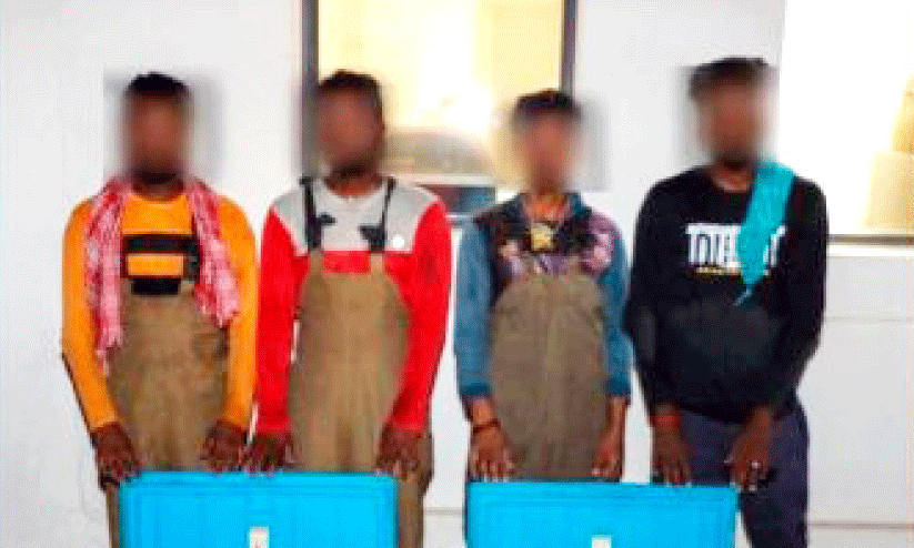 Four Asians arrested with illegal shrimp