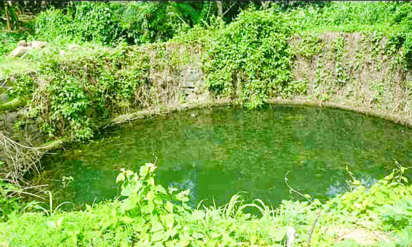 kattapana municipality kattapana municipality