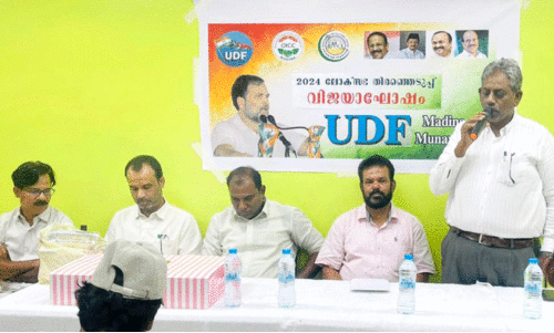 Madinah UDF Committee program