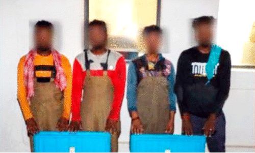 Four Asians arrested with illegal shrimp