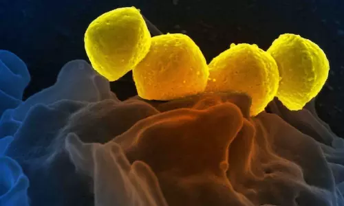 48 മണിക്കൂറിൽ മനുഷ്യനെ കൊല്ലാൻ ശേഷിയുള്ള ബാക്ടീരിയ; രോഗം ജപ്പാനിൽ പടരുന്നു