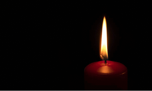 പി.​സി.​എ​ഫ് അ​നു​ശോ​ചി​ച്ചു