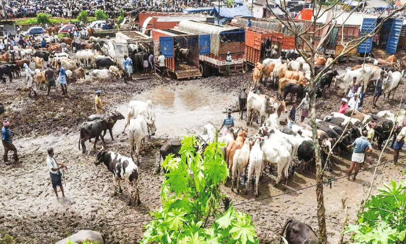 Palakkad news Palakkad news