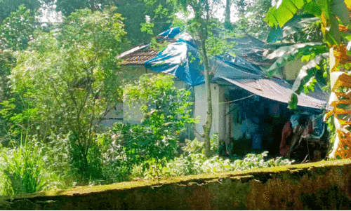 ESI quarters ESI quarters