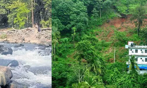 വയനാട് വന്യജീവി സങ്കേതത്തിൽ നിന്ന് 320 കുടുംബങ്ങളെ മാറ്റിപ്പാർപ്പിച്ചുവെന്ന് എ.കെ. ശശീന്ദ്രൻ വയനാട് വന്യജീവി സങ്കേതത്തിൽ നിന്ന് 320 കുടുംബങ്ങളെ മാറ്റിപ്പാർപ്പിച്ചുവെന്ന് എ.കെ. ശശീന്ദ്രൻ