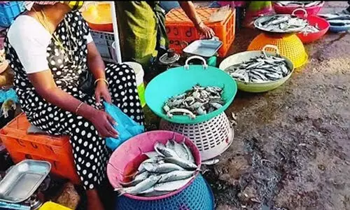 വെള്ളയിൽ ഫിഷ് മാർക്കറ്റ് നിർമാണ പദ്ധതിക്ക്  3.73 കോടി