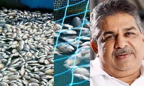 പെരിയാറിലെ മൽസ്യക്കുരുതി: വെള്ളത്തിൽ അമോണിയ, സിലിക്കേറ്റ്, സൾഫേറ്റ് എന്നിവയുടെ സാന്നിധ്യം കണ്ടെത്തിയെന്ന് സജി ചെറിയാൻ