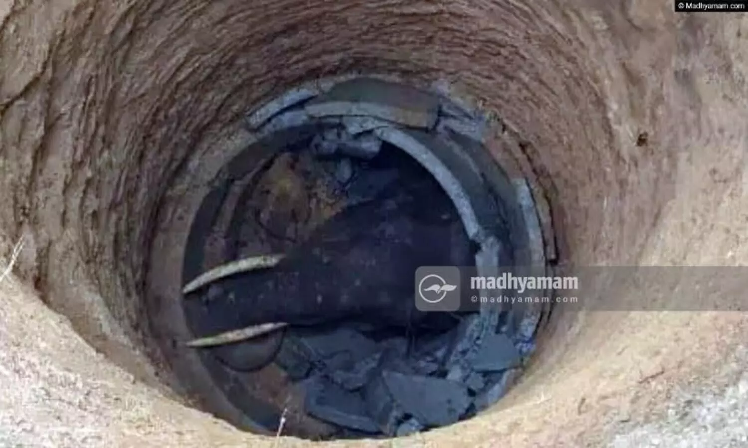 കുടകിൽ കാട്ടാന കിണറിൽവീണ് ചരിഞ്ഞു