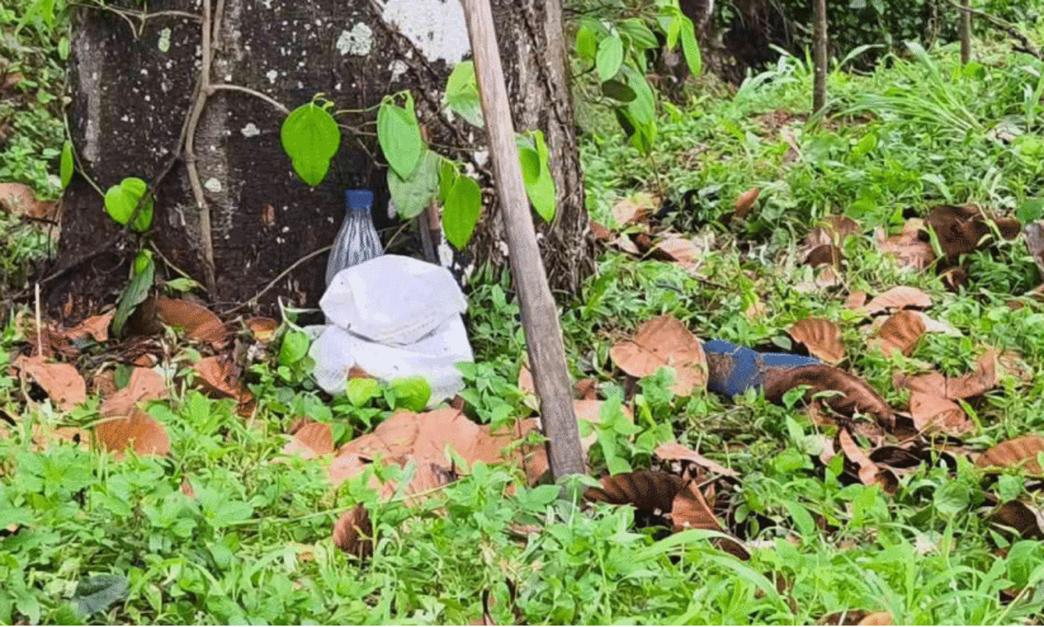 Punalur lightning disaster