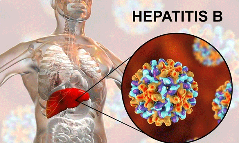 hepatitis b