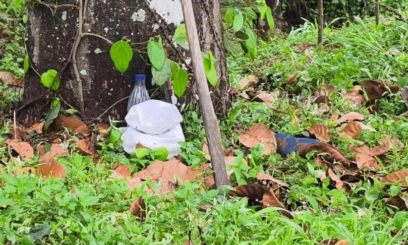 Punalur lightning disaster Punalur lightning disaster