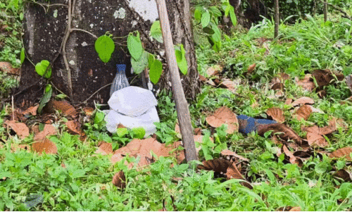 Punalur lightning disaster Punalur lightning disaster