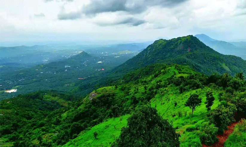 കുളിർമലയിൽ സ്വകാര്യ പങ്കാളിത്തത്തിൽ ബയോപാർക്ക് ആലോചനയിൽ