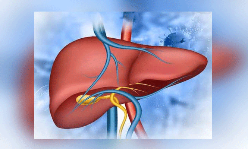 ഹെപ്പറ്റൈറ്റിസ് ബി കാരണം കണ്ടെത്താനാകാതെ ആരോഗ്യ വകുപ്പ് ഹെപ്പറ്റൈറ്റിസ് ബി കാരണം കണ്ടെത്താനാകാതെ ആരോഗ്യ വകുപ്പ്