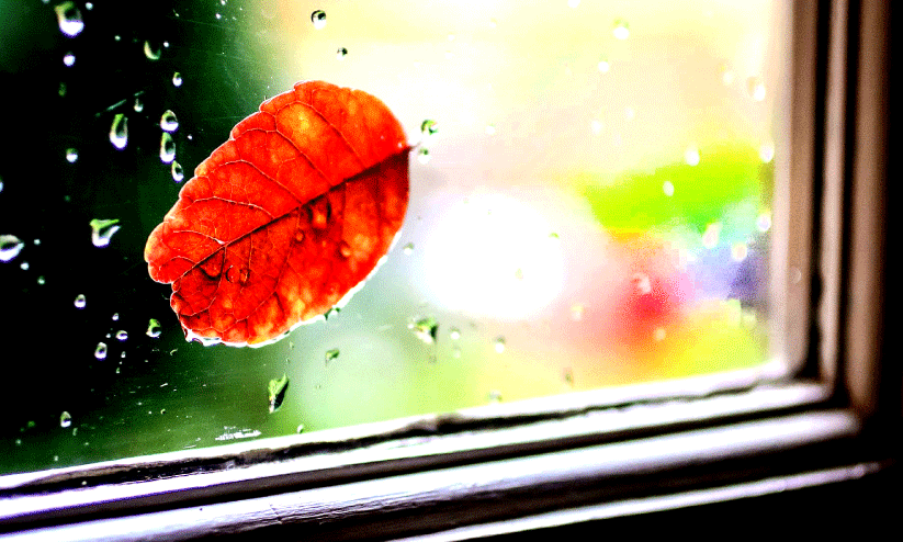 Malayalam poem Malayalam poem