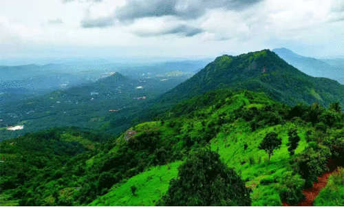 കുളിർമലയിൽ സ്വകാര്യ പങ്കാളിത്തത്തിൽ ബയോപാർക്ക് ആലോചനയിൽ