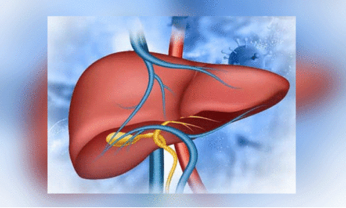 ഹെപ്പറ്റൈറ്റിസ് ബി കാരണം കണ്ടെത്താനാകാതെ   ആരോഗ്യ വകുപ്പ്