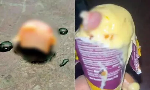 ഐസ്ക്രീമിൽ കണ്ട വിരൽ 24കാരന്‍റേത്; ഫ്രൂട്ട് ഫീഡർ മെഷിനിൽ കൈ കുടുങ്ങി