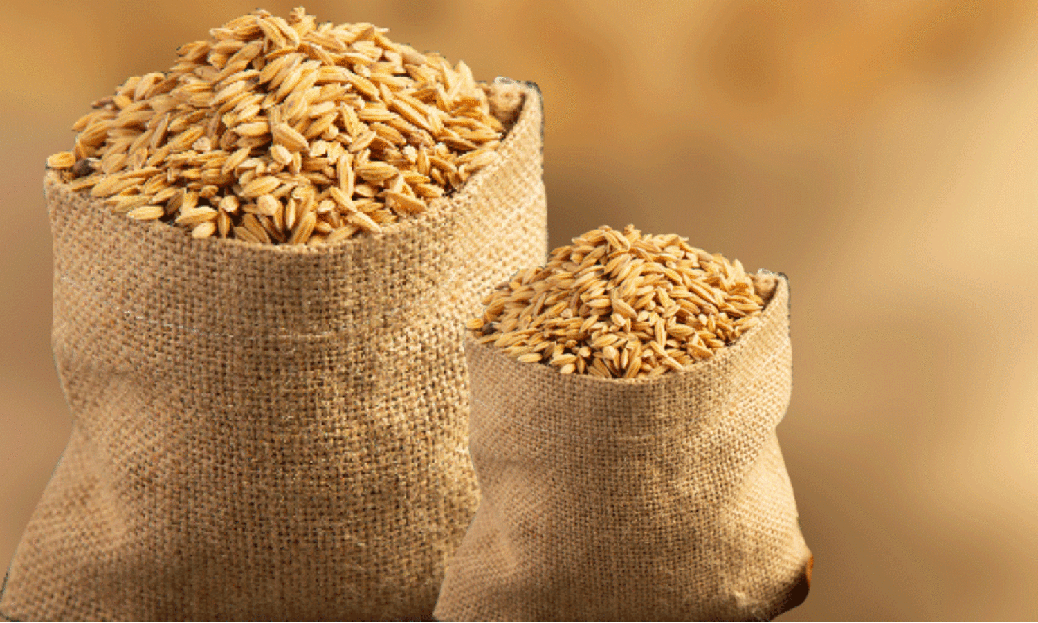 നെല്ലിന്‍റെ താങ്ങുവില; കർഷകർക്ക് പ്രതീക്ഷയും ആശങ്കയും