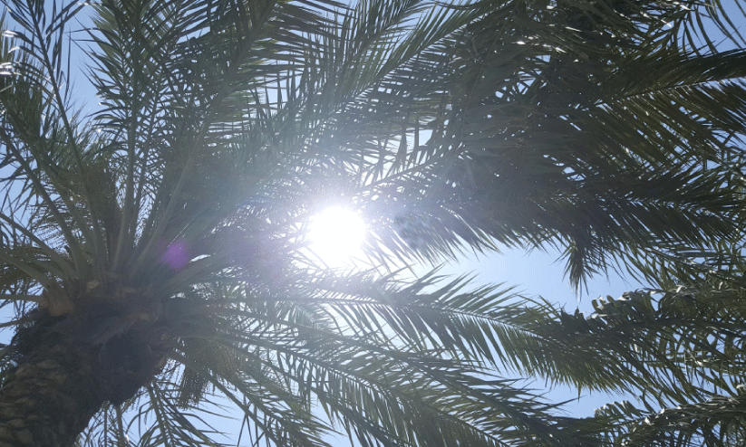 ചൂടിൽ ഉരുകി... ചൂടിൽ ഉരുകി...