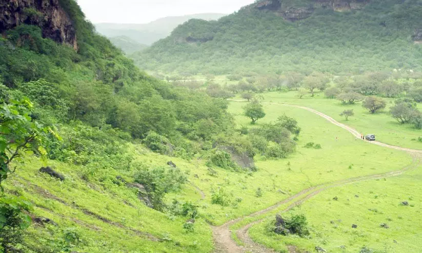 സലാല ടൂറിസം ഫെസ്റ്റിവലിന് തുടക്കം; ഇനി ആഘോഷ രാവുകൾ സലാല ടൂറിസം ഫെസ്റ്റിവലിന് തുടക്കം; ഇനി ആഘോഷ രാവുകൾ