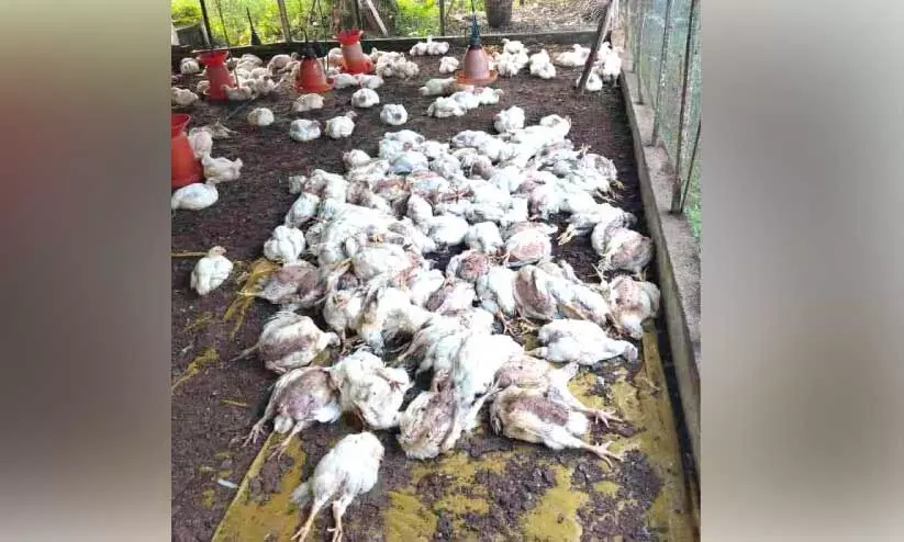 vaikom news vaikom news