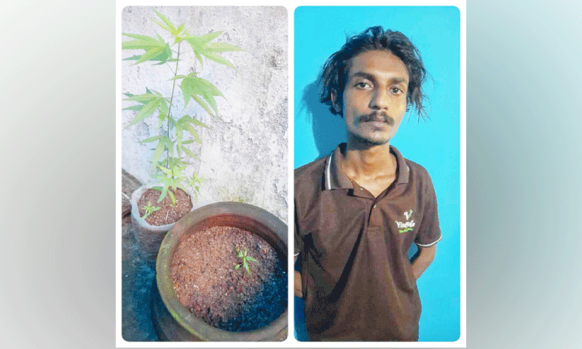 Muhammad Sheheen Muhammad Sheheen