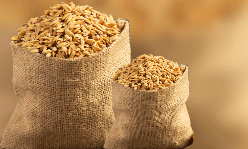 നെല്ലിന്‍റെ താങ്ങുവില; കർഷകർക്ക് പ്രതീക്ഷയും ആശങ്കയും