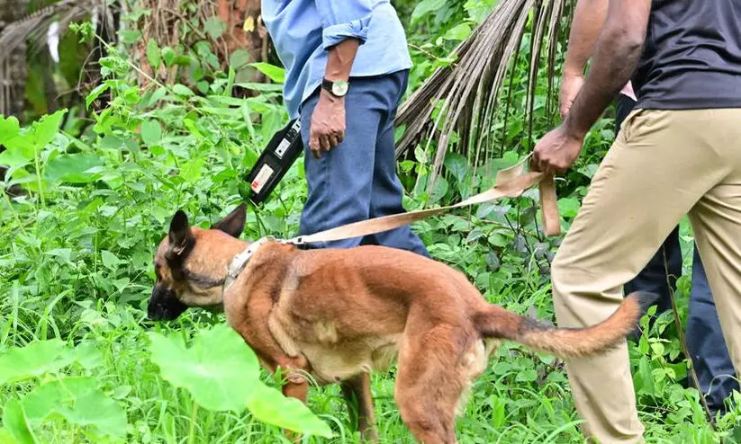 എരഞ്ഞോളി സ്ഫോടനം: സീനയുടെ മൊഴിയെടുത്തു