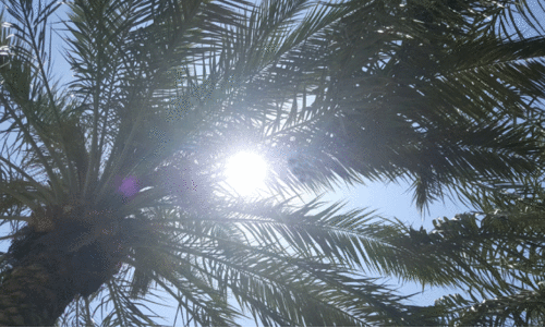 ചൂടിൽ ഉരുകി... ചൂടിൽ ഉരുകി...