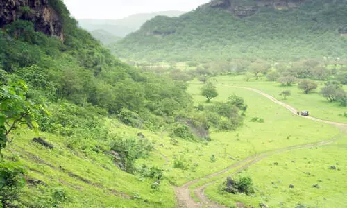 സ​ലാ​ല ടൂ​റി​സം ഫെ​സ്റ്റി​വ​ലി​ന്​ തു​ട​ക്കം; ഇ​നി ആ​ഘോ​ഷ രാ​വു​ക​ൾ
