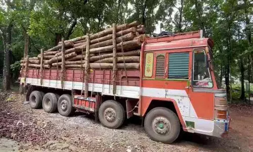 അനധികൃത തടി കടത്തൽ: കടുത്ത നടപടികളുമായി വനം വകുപ്പ്